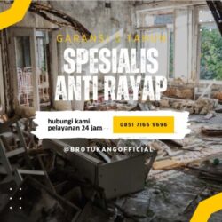 Jasa Anti Rayap Terbaik di Surabaya